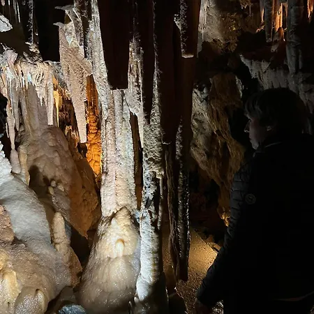 Apartament Elegant Avec Jacuzzi *